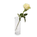 Kytice bílých růží